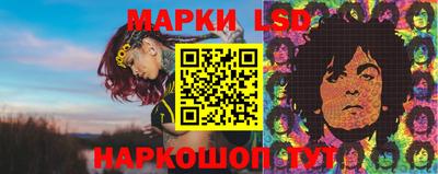 стафф Кинель