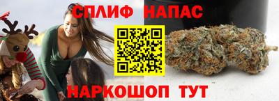 стафф Кинель