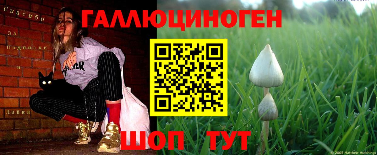 Псилоцибиновые грибы MAGIC MUSHROOMS  Вход с VPN  Клин  Псилоцибиновые грибы Psilocybe 