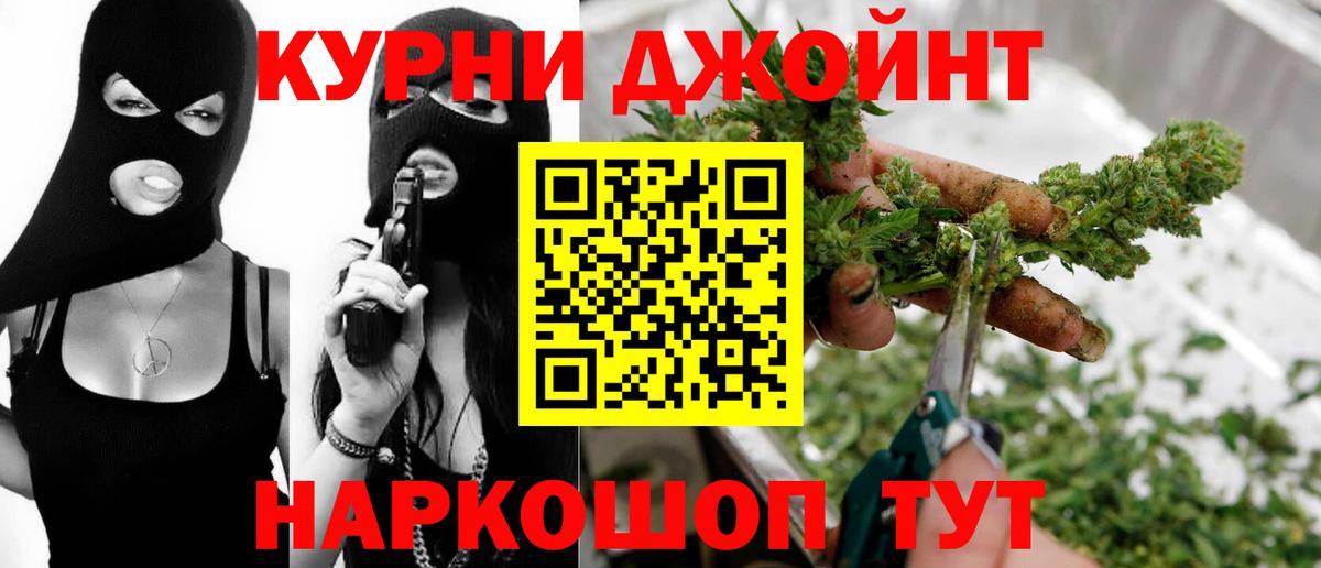 Конопля сатива Клин